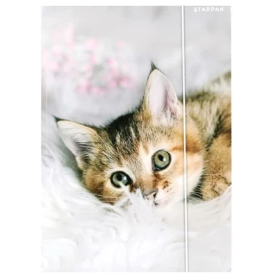 Image de CHATON STARPAK LAMINÉ classeur scolaire avec élastique pour filles A4 (Chaton A)