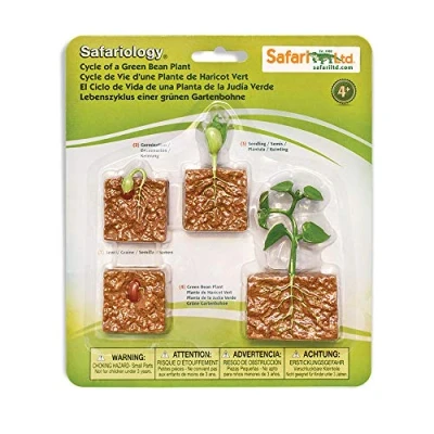 Image de Safari Ltd Life Cycle of A Green Bean Plant