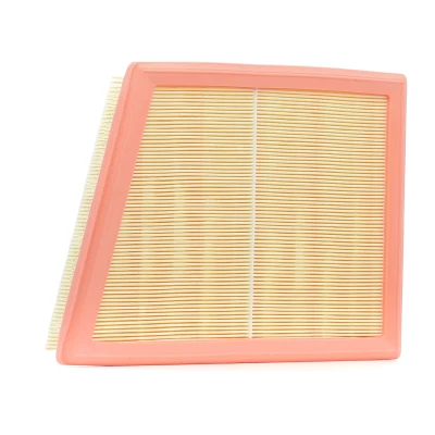 Image de FILTRON AP 026/4 Filtre à air 51 292 211,5 Cartouche filtrante pour conditions d&#039;usage poussiérieux BMW: 2 Gran Tourer, Active X1