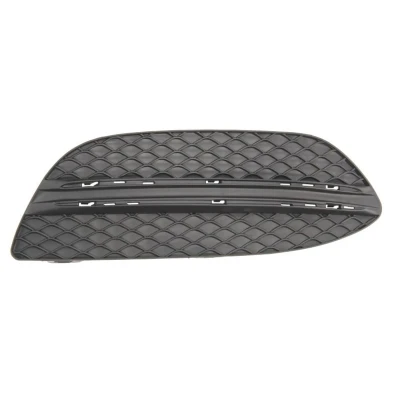 Image de Grille de ventilation, pare chocs BLIC 6502 07 3521916P droite