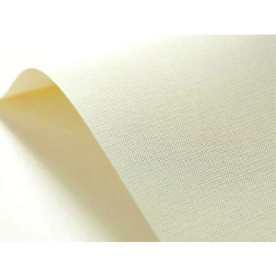 Image de Netuno 100x carton gaufré ivoire trame A4 210x 297 mm 246 g/m² texturé papier pour cartes de vœux visite invitations baptême première communion mariage décorations DIY
