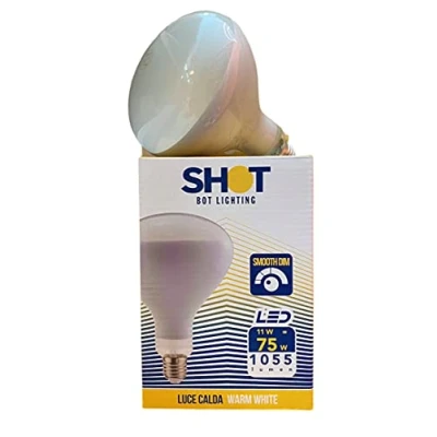 Image de BOTLIGHTING R125 LED DIMMABLE E27 11W 2700K AM11R125