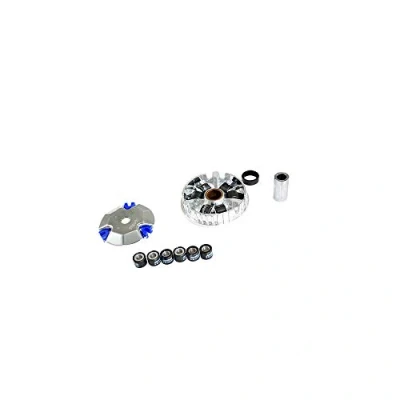 Image de POLINI variateur Scooter Speed Control Compatible avec booster/bws/nitro/sr50/f12 (Grande Plage)