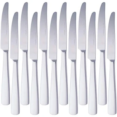 Image de Amazon Basics Cuchillos de mesa acero inoxidable con borde cuadrado, 12 pièces, Argenté, 25,4 x 14,22 1,52 cm