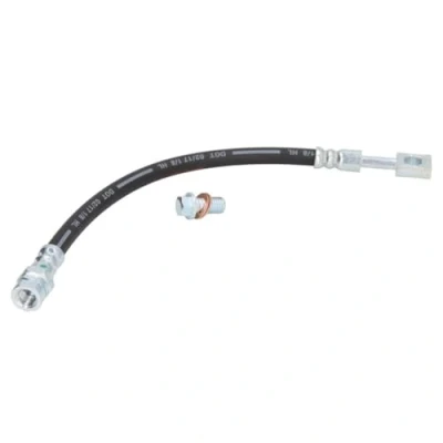 Image de DELPHI LH7313 Flexible De Frein 317