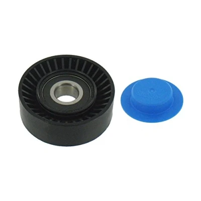 Image de SKF VKM 32243 Galet Enrouleur FIAT: Stilo 3/5 portes, Doblo I Break, BRAVO 1, JEEP: GRAND CHEROKEE 4, 3, CHRYSLER: 300C Berline