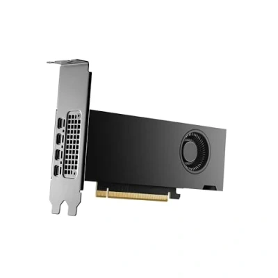 Image de PNY NVIDIA RTX 2000 Ada Generation 16 Go GDDR6 PCI Express 4.0 Dual Slot, Low Profile 4X MiniDisplayPort, Support 8K, Ventilateur Actif Ultra Silencieux
