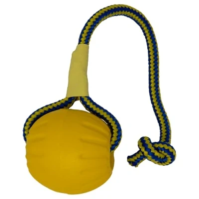 Image de EVERLASTING Jouet pour Chien Swing N Fling 8 X 6 28 cm