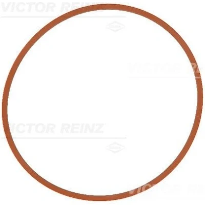 Image de REINZ 71 17146 00 Joint Collecteur d&#039;Admission FPM (caoutchouc fluoré) FORD: Focus Mk4 Berline