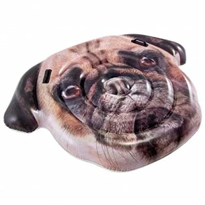 Image de INTEX Ile Chien gonflable Multicolore 173 cm x 130