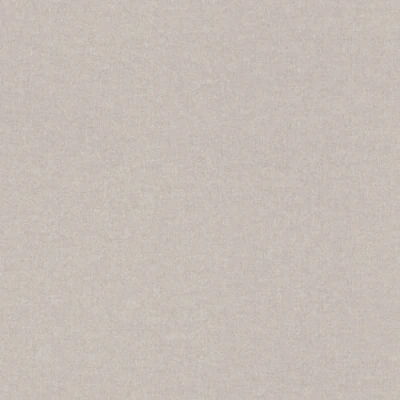 Image de Rasch Bambino XIX 252859 Papier peint intissé universel Gris 10,05 x 0,53 m