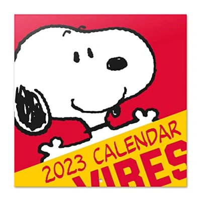 Image de Grupo Erik Calendrier Mural 2023 Snoopy 12 Mois 30 x 60 cm, Avec 1 Poster Inclus, Sous Licence Officielle et Certifié FSC Mensuel en Français Janvier à Décembre 2023, CP23009