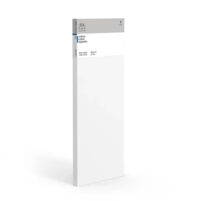 Image de Winsor &amp; Newton Châssis Coton 30X80Cm Deep Edge 3D