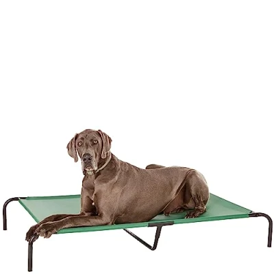 Image de Amazon Basics Lit surélevé et rafraîchissant pour animaux de compagnie, XL taille, Chien, Vert, l 153 x 94 H 23 cm