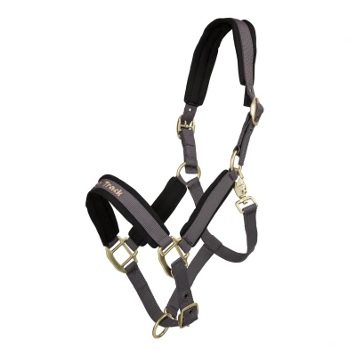 Image de Back on Track Licol Werano Graphite Cob