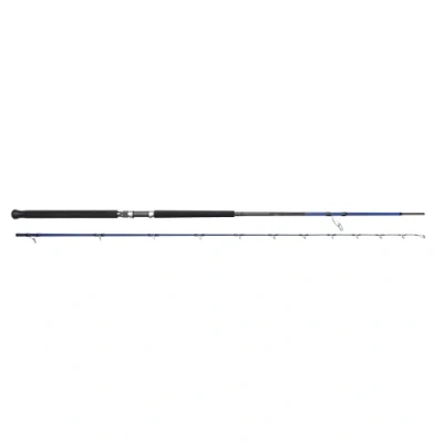 Image de Savage Gear SGS6 Shore Jigging 10&#039;/3,05m MF 30 100gr MH 2,0 4,0 2sec Canne mer