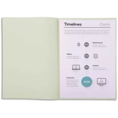Image de Exacompta Réf. 850009E Paquet de 250 sous chemises SUPER 60 g/m2 aux couleurs pastel certifiées PEFC™ dimensions 22 x 31 cm pour format A4 couleur gris