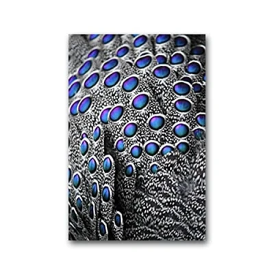 Image de TOTAL Pulvérisateur à Pression Double Ouverture 1L Buse réglable Remplissage et brumisation faciles Plastique Durable Bleu