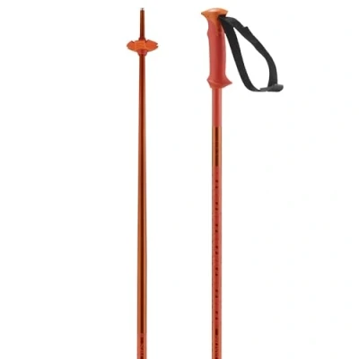 Image de Salomon Polar Alpine Poles Unisex Adult, Cherry Tomato, 130