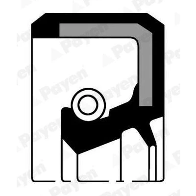 Image de PAYEN NJ875 Joint Spi De Vilebrequin ACM (caoutchouc polyacrylique)