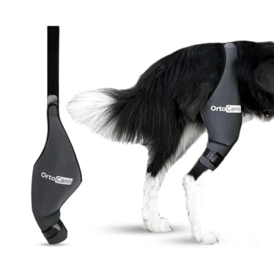 Image de Ortocanis Genouillère pour Chien Patte Arrière Gauche Fabriquée en Néoprène ARD Déchirure du LCA, Lésions Ligamentaires Taille Mini (15 16 cm)