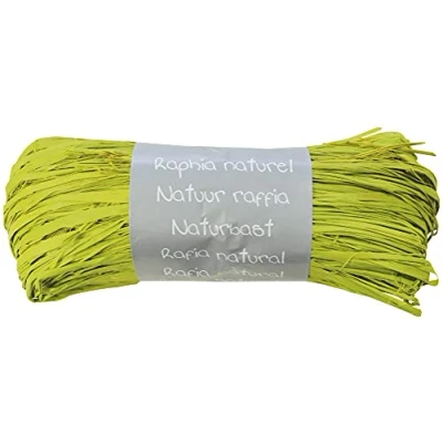 Image de Clairefontaine 196019C Pelote Raphia Vert anis Ensemble de plusieurs fils Longueur 1m50 par fil 50g Loisirs Créatifs Emballage Cadeau DIY Multiples