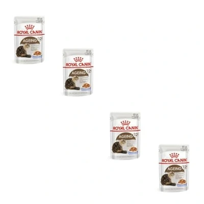 Image de Royal Canin Ageing 12+ Morceaux Fins en gelée Pack Double 2 x 12 85 g Alimentation Humide pour Chats âgés Aliment Complet Seniors de Ans et Plus