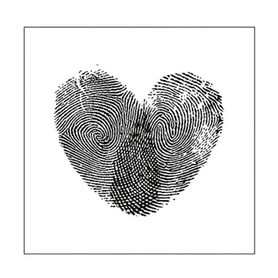 Image de Vaessen Creative Pochoir pour Gaufrage, Empreinte Digitale, Ajouter de la Texture et Dimension aux Projets Créatifs avec du Papier, Transparent, 15 x cm