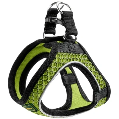 Image de Hunter pour Chien Vert