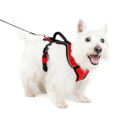 Image de PetSafe Harnais pour Chien EasySport avec Poignée de Contrôle, Réfléchissant, Ajustable Confortable, Rembourré Rouge, S