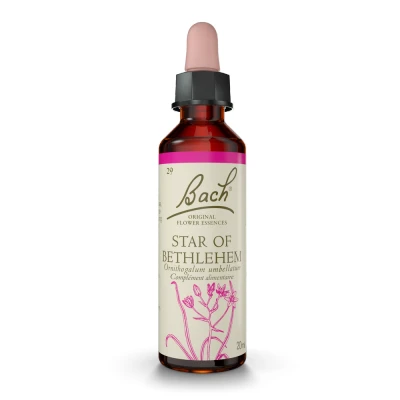 Image de Fleurs de Bach® étoile Bethlehem