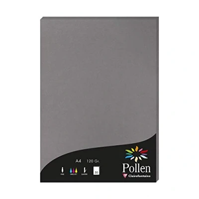 Image de Clairefontaine 4283C Étui de 50 Feuilles Format A4 (21x29,7cm) 120g/m² Coloris Gris Acier Papier d&#039;Invitation Evènements et Correspondance Gamme Pollen Premium Lisse
