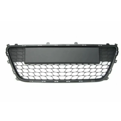 Image de Grille de ventilation, pare chocs BLIC 6502 07 3135995P