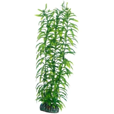 Image de Hobby 51567 Heteranthera 34 cm