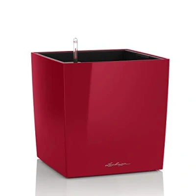 Image de Lechuza Pot de Fleurs d&#039;Interieur Premium Cube Réserve d&#039;Eau Intégrée Coloris Rouge Scarlet 40 x cm