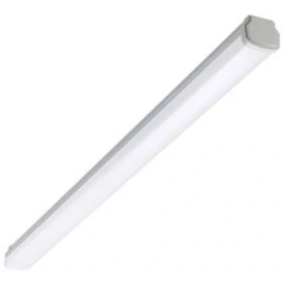 Image de Philips Professional Luminaire pour pièces humides LED WT060C LED25S/840 PSU L1200