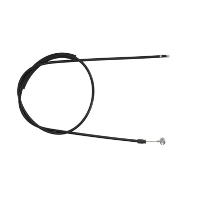 Image de Tirette de capot moteur BLIC 1021 01 053891P