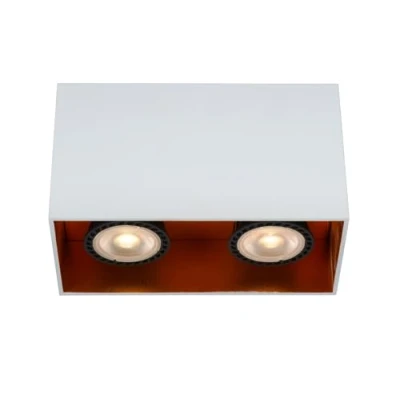 Image de Lucide BIDO Spot plafond 2xGU10 Blanc