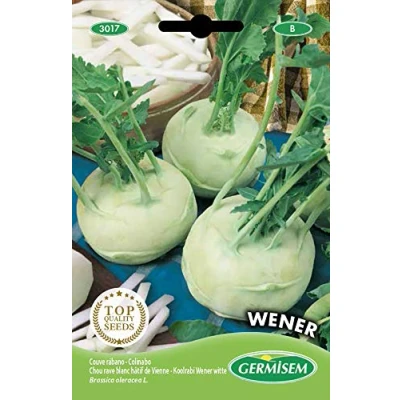 Image de Germisem graines Chou rave blanc hâtif de Vienne WENER
