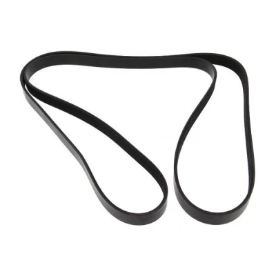 Image de MAPCO 262245 Courroie Poly V 2245 6 MERCEDES BENZ: Classe C Berline, E G SUV, FORD: S Max Mk1, Galaxy Mk2 MPV, MONDEO 4 Turnier