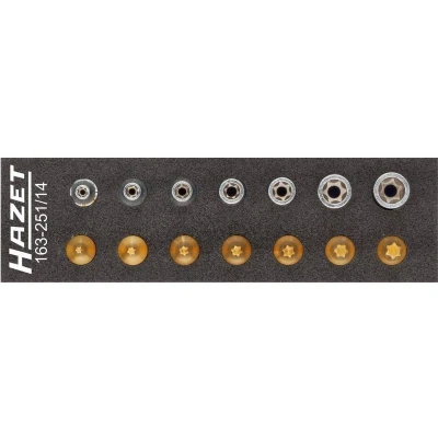 Image de HAZET 163 251/14 Module servante 14 172 TORX intérieur , Safety Insert System