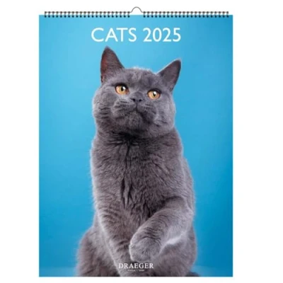 Image de Calendrier Mural déco 29x39 cm 2025 Janvier à décembre Chats