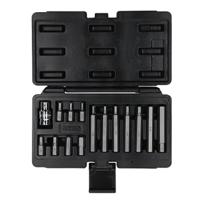 Image de KS TOOLS 911.5040 Kit, caisse / encastrement tournevis (bits) 15