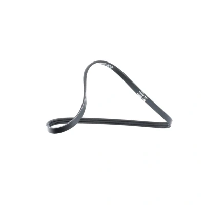 Image de DAYCO 3PK740 Courroie Poly V 740,0 3 RENAULT: CLIO 2, Kangoo I, I Express, DACIA: Sandero Logan Berline