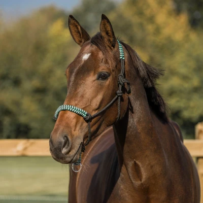 Image de Horka Licol en Corde Menthe Cob