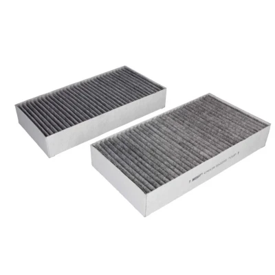 Image de HENGST FILTER E2912LC01 2 Filtre d&#039;habitacle à charbon actif 255 133 40 MERCEDES BENZ: Classe ML, GL, R