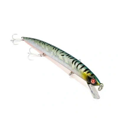 Image de Mommotti 160 S Colore ITA MACKEREL
