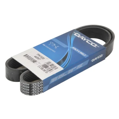 Image de DAYCO 7PK1020 Courroie Poly V 7 ISUZU: D Max II Pick up
