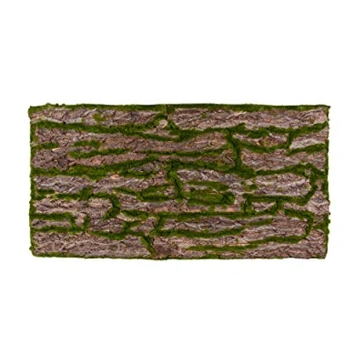 Image de Repiterra Terrarium Décor de Fond 3D Aspect Naturel, Paroi avec Effet écorce 118,5 x 58,5 5 cm