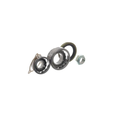Image de Kit de roulements roue SKF VKBA 1385